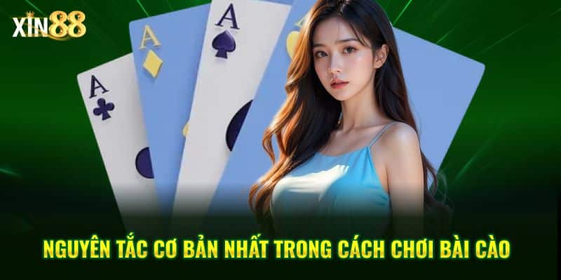 Cách Chơi Bài Cào Hiệu Quả Tại Xin88 Giúp Bạn Dễ Thắng - BET246.ASIA