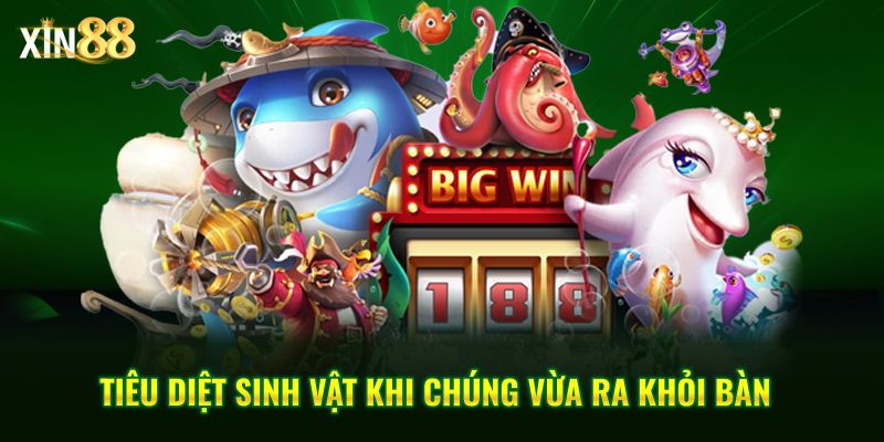 Bắn Cá Tiểu Tiên Tại Xin88 - đồ Họa Sắc Nét, Vũ Khí đa Dạng - BET246.ASIA