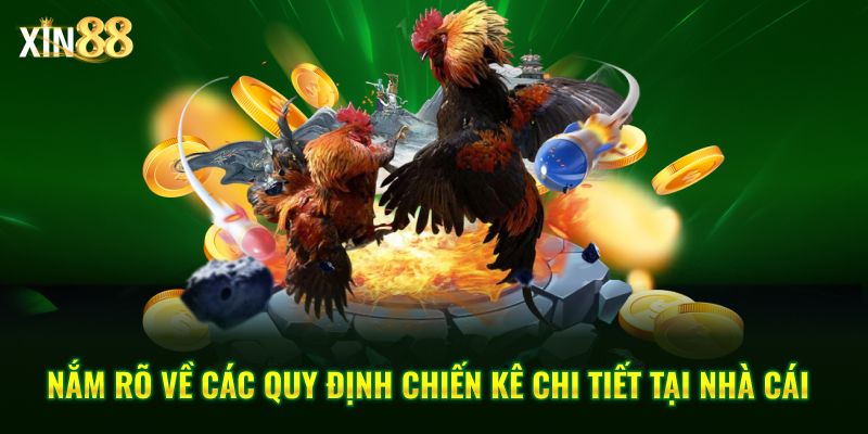 Đá Gà Cựa Dao - Những Trận Chiến Kịch Tính Tại Xin88 - BET246.ASIA