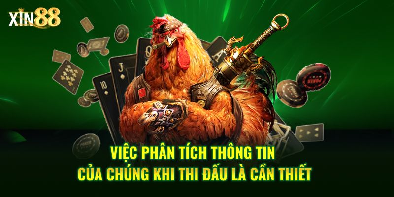 Đá Gà Cựa Sắt Tại Xin88 – Sân Chơi đẳng Cấp Hàng đầu - BET246.ASIA
