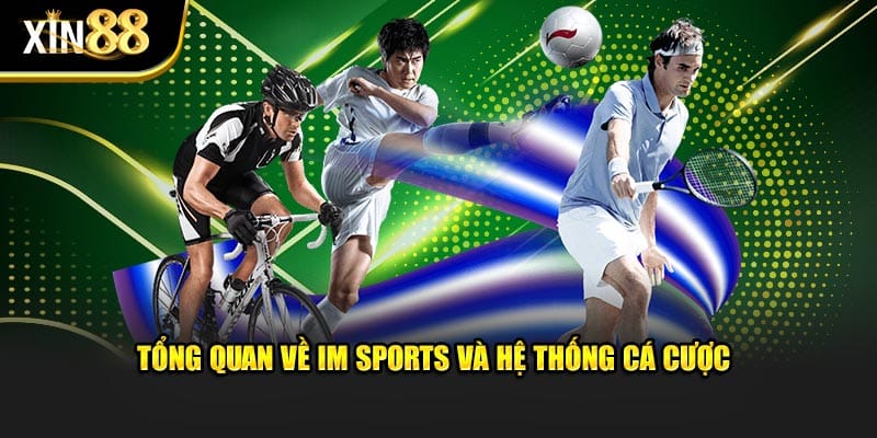 IM Sports Tại XIN88 Cá Cược Thể Thao Với Tỷ Lệ Kèo Hấp Dẫn - BET246.ASIA