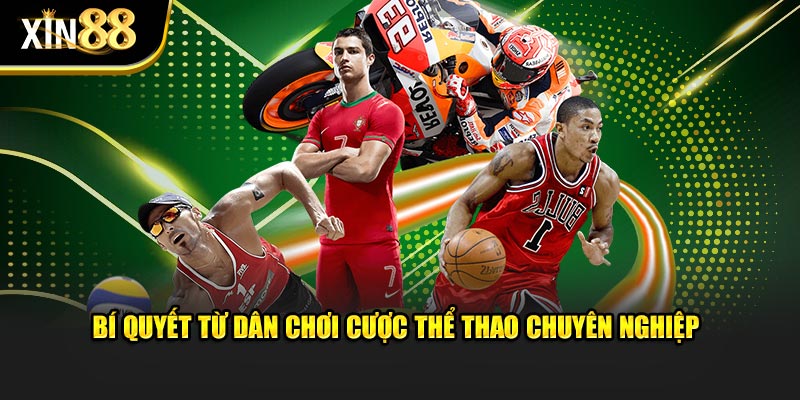 IM Sports Tại XIN88 Cá Cược Thể Thao Với Tỷ Lệ Kèo Hấp Dẫn - BET246.ASIA