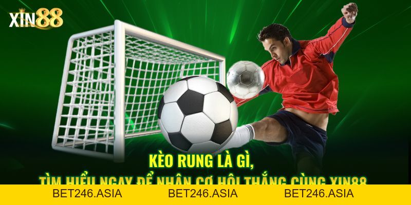 Kèo Rung Là Gì? - Cách Nhận Diện Và Bắt Kèo Chuẩn Tại Xin88 - BET246.ASIA Kèo Rung Là Gì? - Cách Nhận Diện Và Bắt Kèo Chuẩn Tại Xin88 - BET246.ASIA