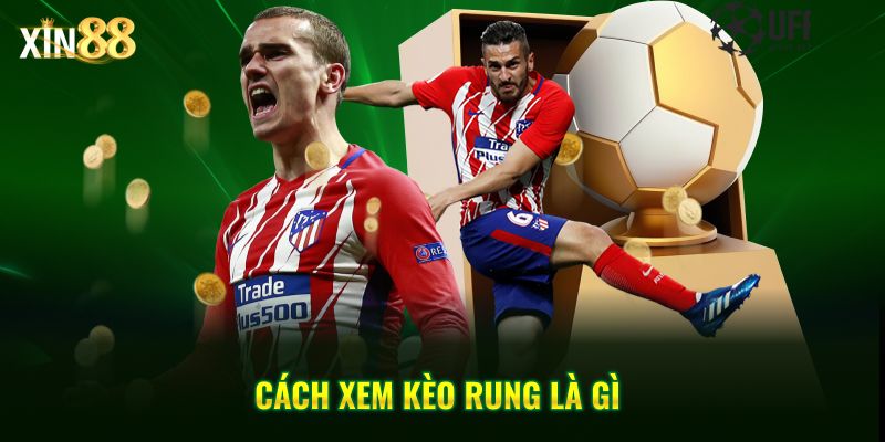 Kèo Rung Là Gì? - Cách Nhận Diện Và Bắt Kèo Chuẩn Tại Xin88 - BET246.ASIA Kèo Rung Là Gì? - Cách Nhận Diện Và Bắt Kèo Chuẩn Tại Xin88 - BET246.ASIA