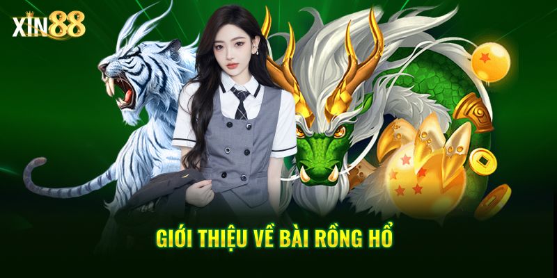 Tìm Hiểu Luật Chơi Rồng Hổ đơn Giản, Dễ Chơi Tại Xin88 - BET246.ASIA
