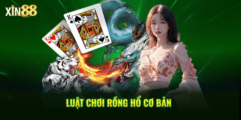 Tìm Hiểu Luật Chơi Rồng Hổ đơn Giản, Dễ Chơi Tại Xin88 - BET246.ASIA