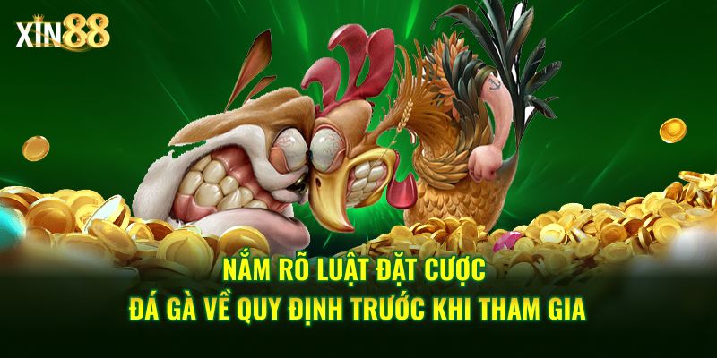 Luật đặt Cược đá Gà Tại Xin88 – Cập Nhật Quy định Cá Cược - BET246.ASIA