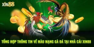 Đá Gà Xin88 - BET246.ASIA