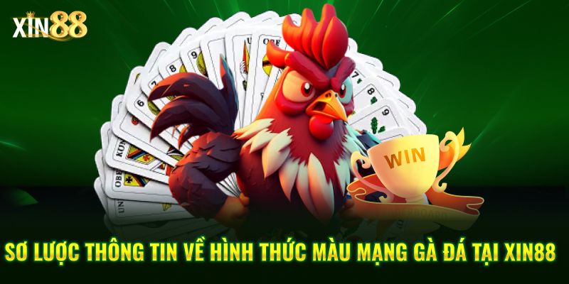 Màu Mạng Gà đá Và Cách ứng Dụng Ngũ Hành Khi đặt Cược đá Gà - BET246.ASIA