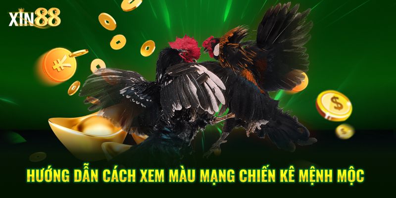 Màu Mạng Gà đá Và Cách ứng Dụng Ngũ Hành Khi đặt Cược đá Gà - BET246.ASIA