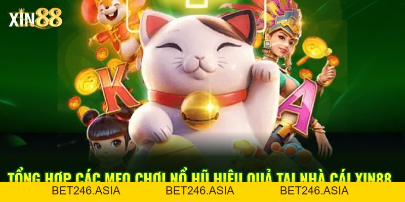 Mẹo Chơi Nổ Hũ Tại Xin88 – Bí Quyết Quay Dễ Thắng Năm 2026 - BET246.ASIA