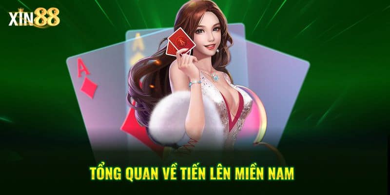 Tiến Lên Miền Nam Xin88: So Tài Cao Thủ, Rinh Thưởng Khủng - BET246.ASIA