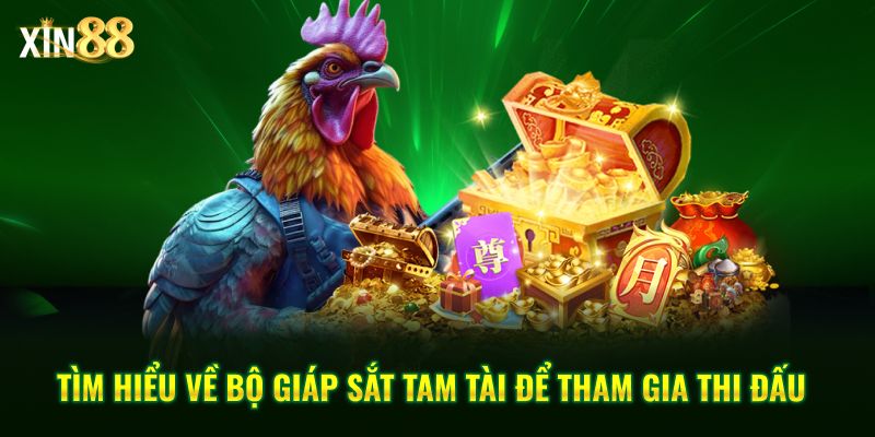 Vảy đá Gà Quý Và Kinh Nghiệm Chọn Chiến Kê Chuẩn Tại Xin88 - BET246.ASIA