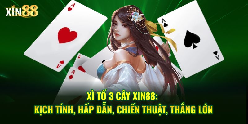 Xì Tố 3 Cây Tại Xin88 – Game Bài Tốc độ, Chiến Thuật Rõ Ràng - BET246.ASIA