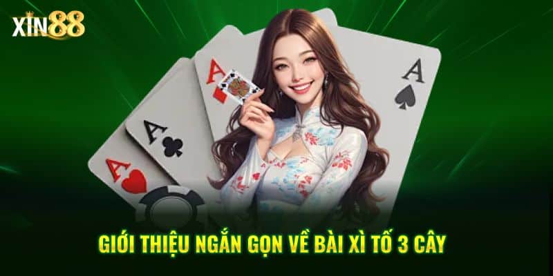Xì Tố 3 Cây Tại Xin88 – Game Bài Tốc độ, Chiến Thuật Rõ Ràng - BET246.ASIA