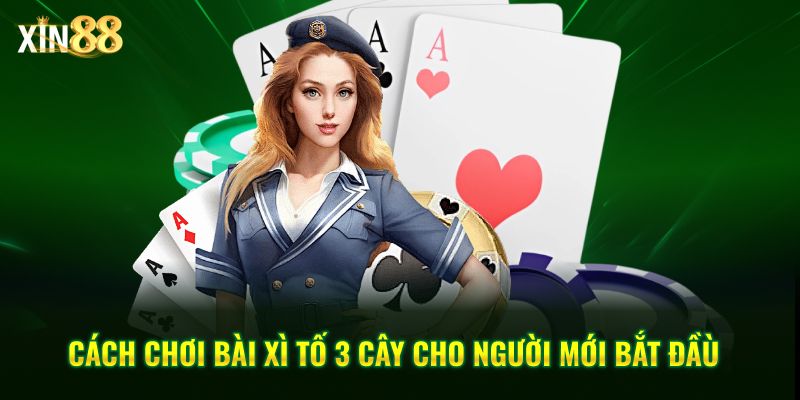 Xì Tố 3 Cây Tại Xin88 – Game Bài Tốc độ, Chiến Thuật Rõ Ràng - BET246.ASIA