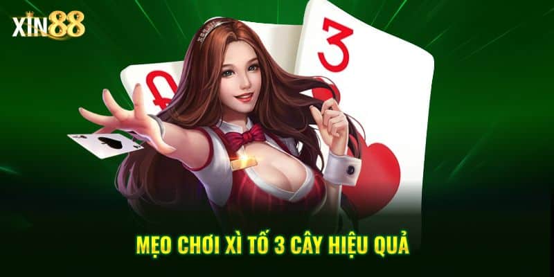 Xì Tố 3 Cây Tại Xin88 – Game Bài Tốc độ, Chiến Thuật Rõ Ràng - BET246.ASIA