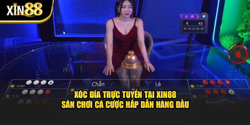 Cách Chơi Xóc đĩa Tại XIN88 – Hướng Dẫn Dễ Hiểu Cho Anh Em - BET246.ASIA