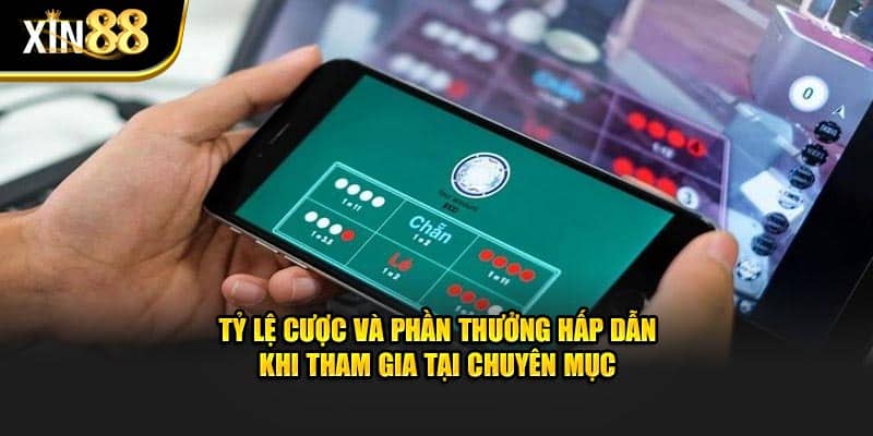 Cách Chơi Xóc đĩa Tại XIN88 – Hướng Dẫn Dễ Hiểu Cho Anh Em - BET246.ASIA